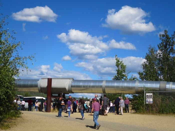 A group of people in a park Description automatically generated