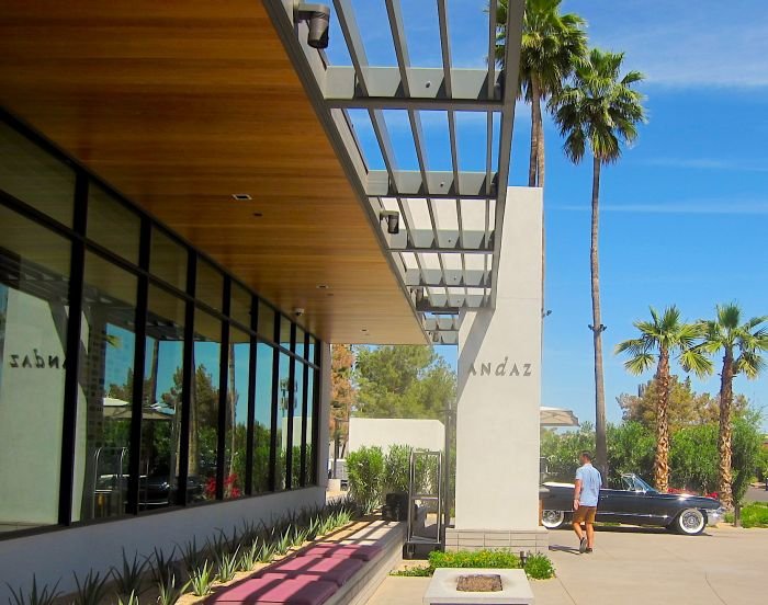 A group of palm trees on the side of a road

Description automatically generated