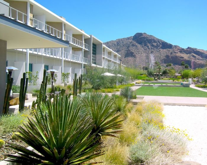 A group of palm trees with a building in the background

Description automatically generated