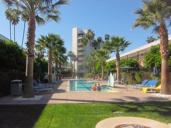 A palm tree

Description automatically generated