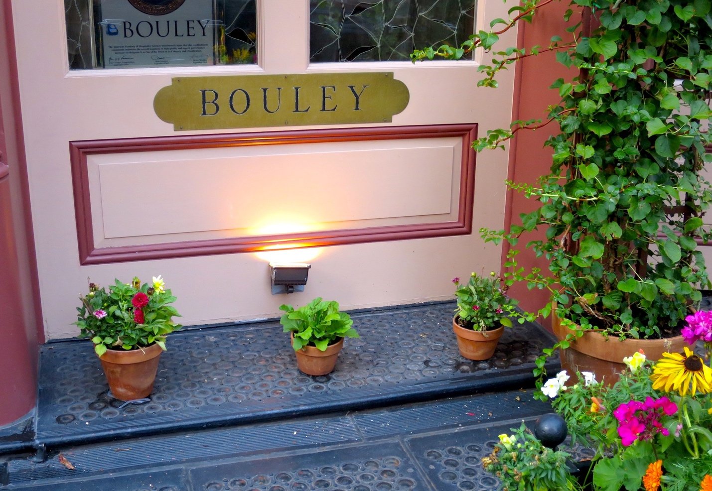 A close up of a flower gardenDescription automatically generated