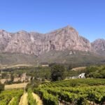 Fly into Cape Town, Stay in Stellenbosch, South Africa