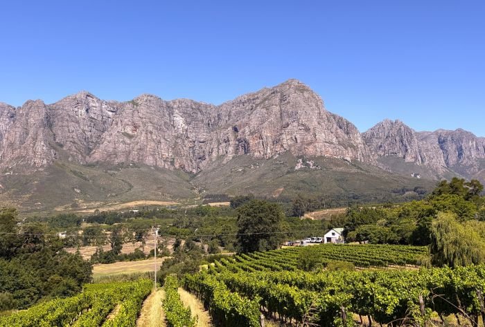 Fly into Cape Town, Stay in Stellenbosch, South Africa